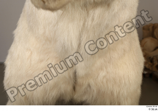 Polar bear chest 0003.jpg